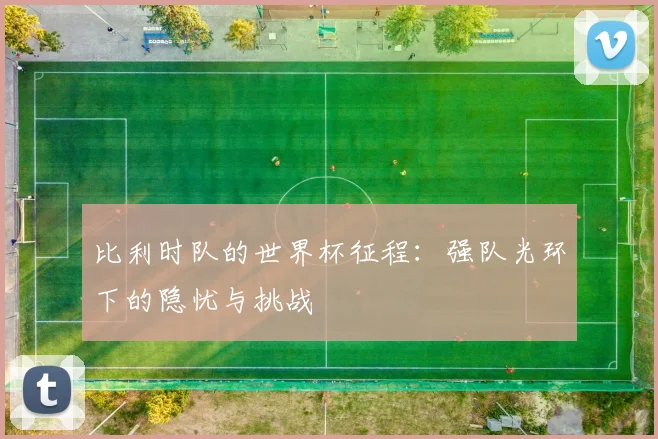 比利时队的世界杯征程：强队光环下的隐忧与挑战