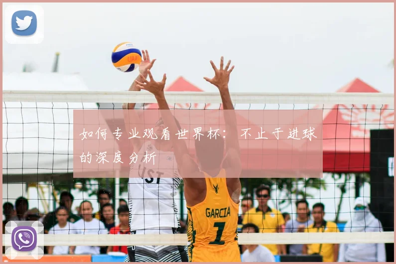 如何专业观看世界杯：不止于进球的深度分析
