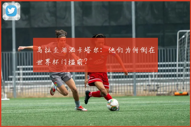 乌拉圭泪洒卡塔尔：他们为何倒在世界杯门槛前？
