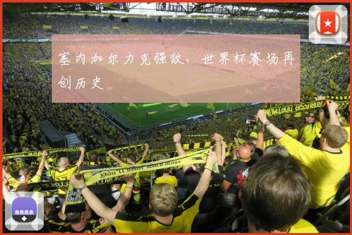 塞内加尔力克强敌,世界杯赛场再创历史