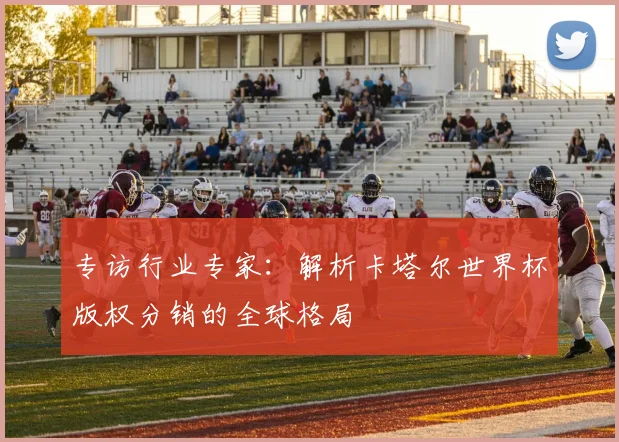 专访行业专家：解析卡塔尔世界杯版权分销的全球格局