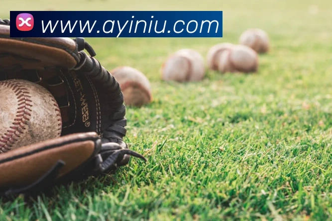 百盈体育发展历程